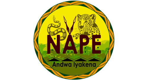 napelogo